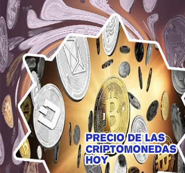 Criptomonedas estado