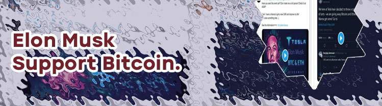 Elon musk free btc