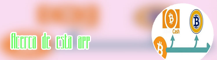 Que app usar para criptomonedas