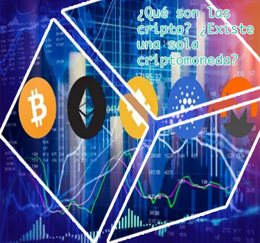 Quien invento criptomonedas